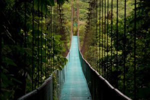 Read more about the article 🌿 Embracing Transformation: How Hypnotherapy Can Guide You Back to Your True Self
