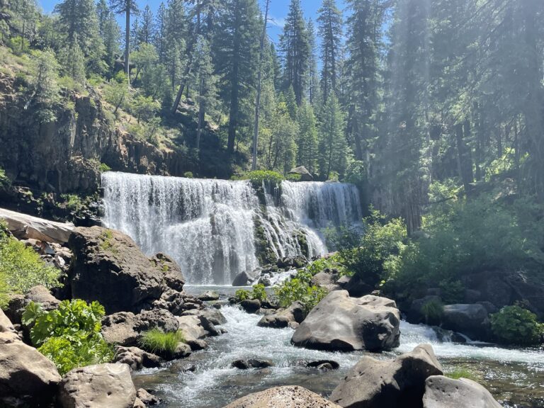 Read more about the article When Life Feels Heavy: Returning to Your Sacred Flow