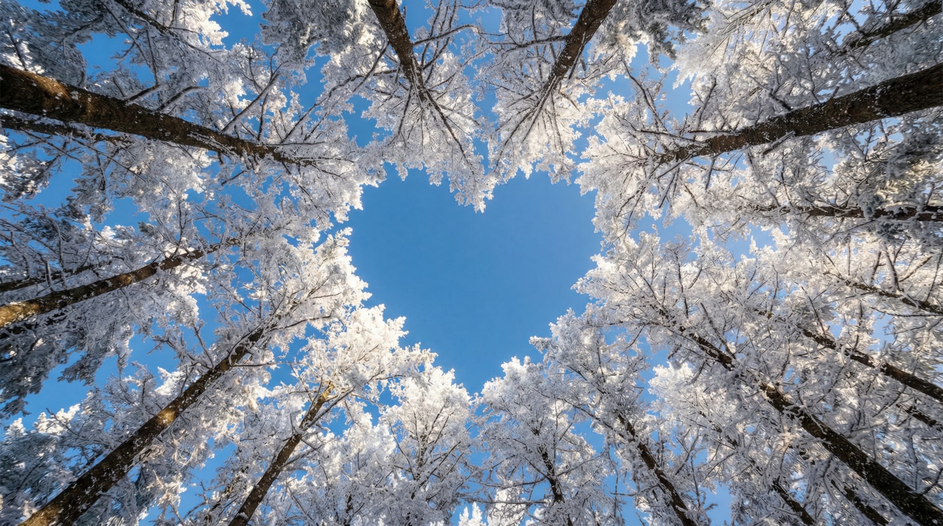 You are currently viewing Self-Care as an Act of Love: Simple Ways to Support Yourself This Season