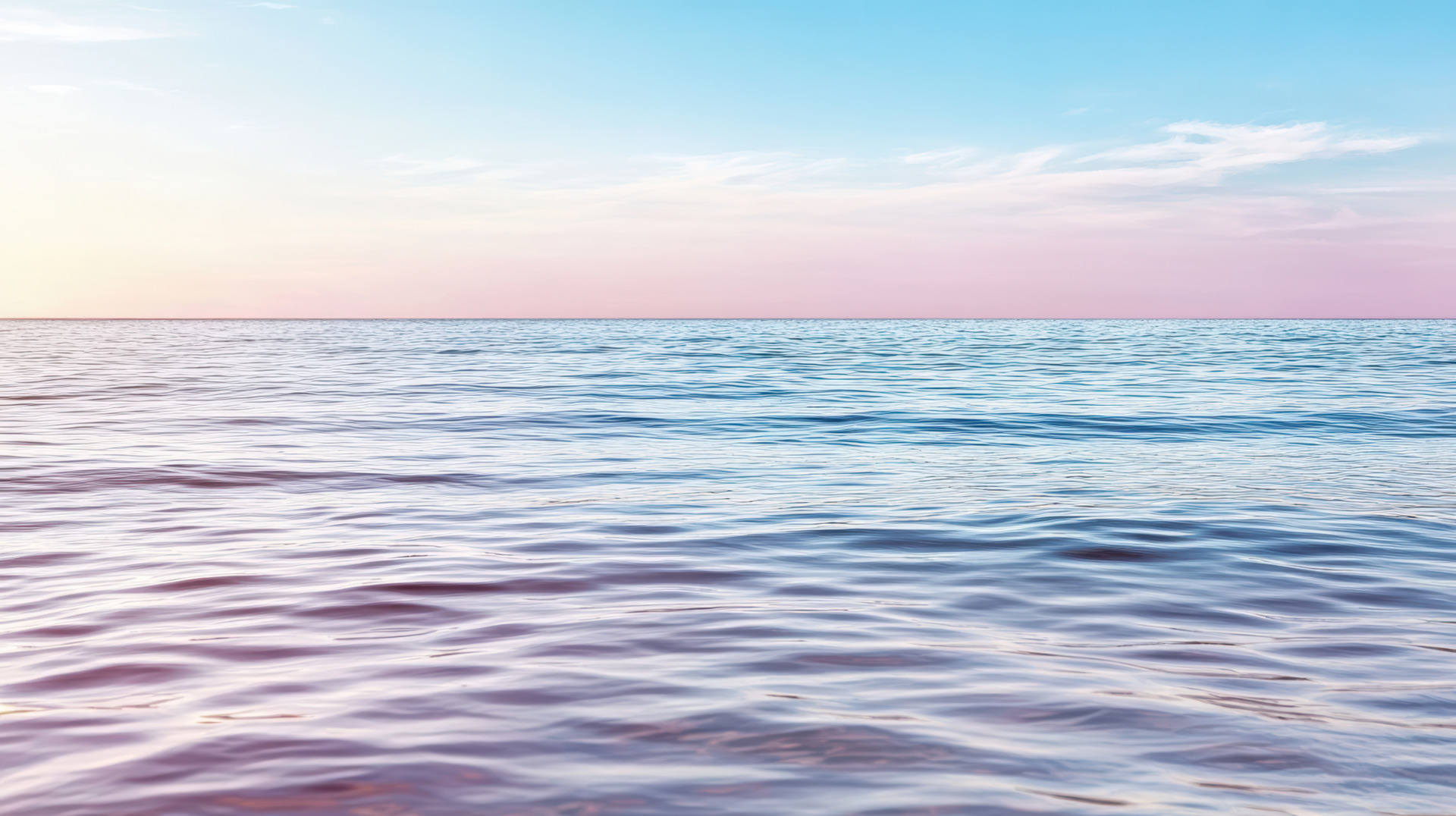 You are currently viewing 8 Signs Your Nervous System Is Stuck in Survival Mode (And How to Start Calming It)