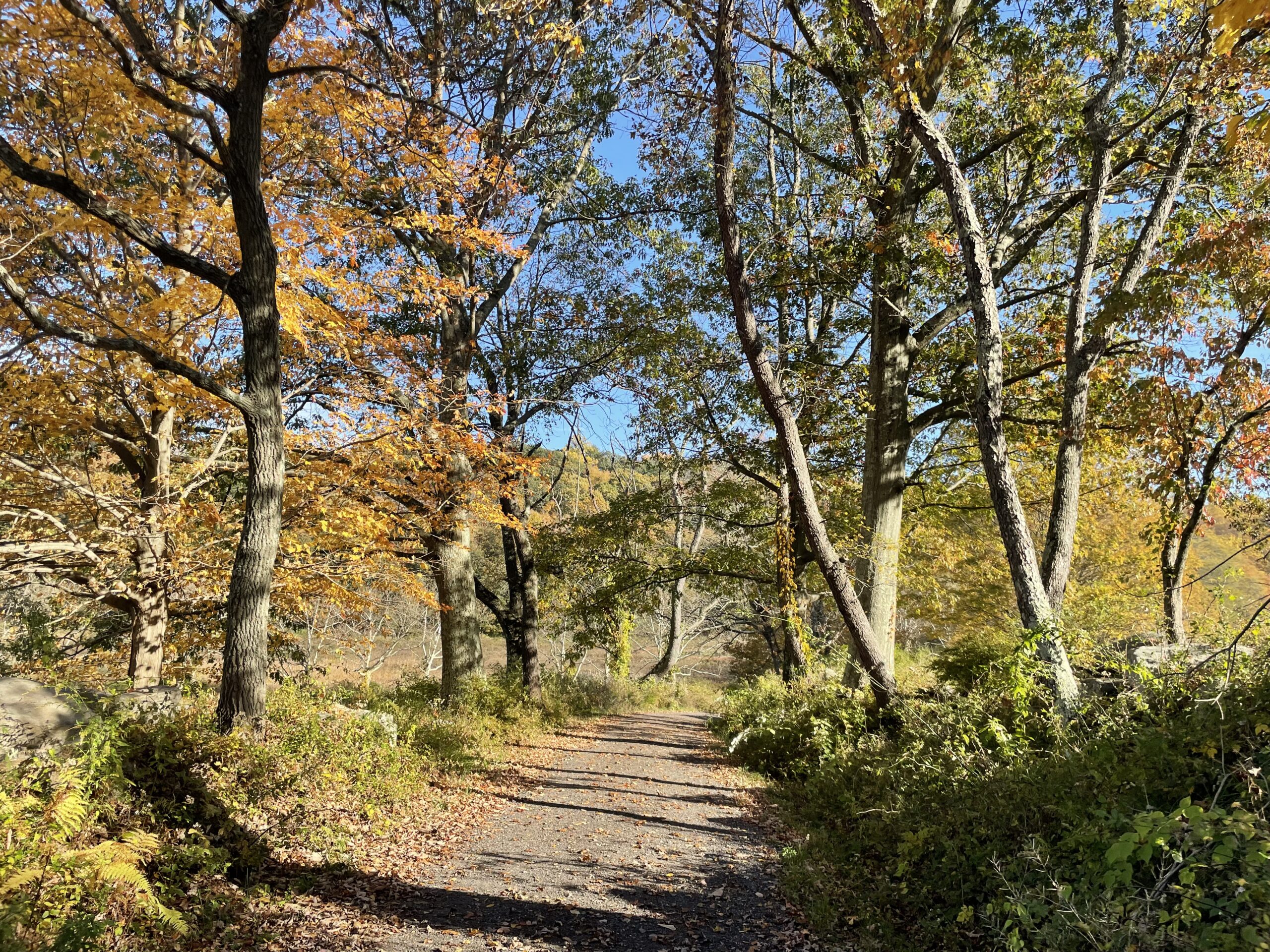 You are currently viewing When the Veil Is Thin: Connecting With the Spiritual Energy of October